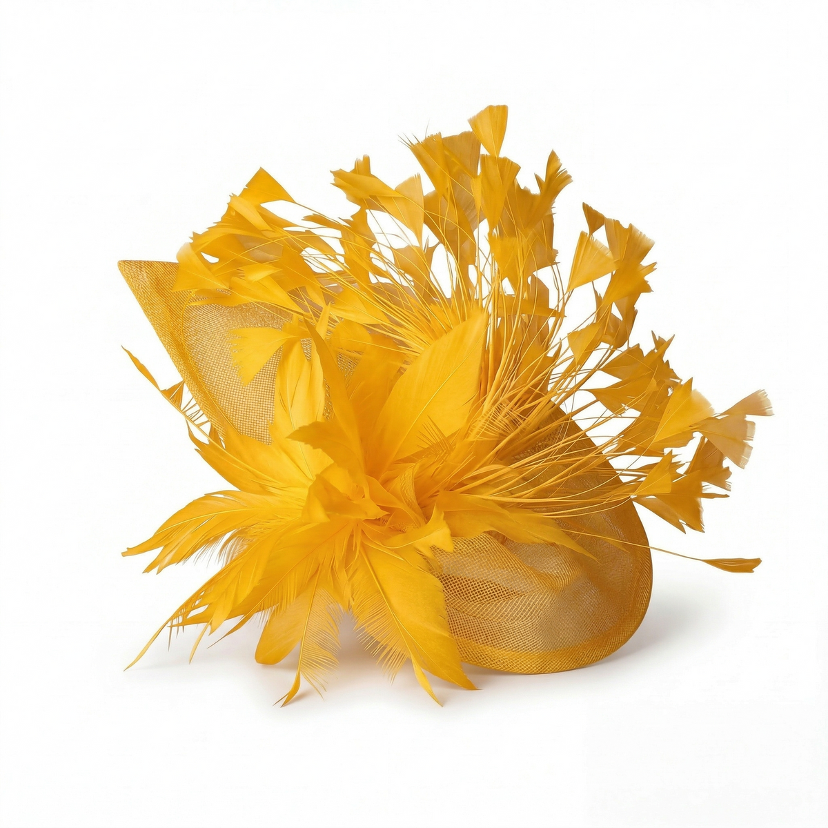 Chapeau Bibi Plumes Femme