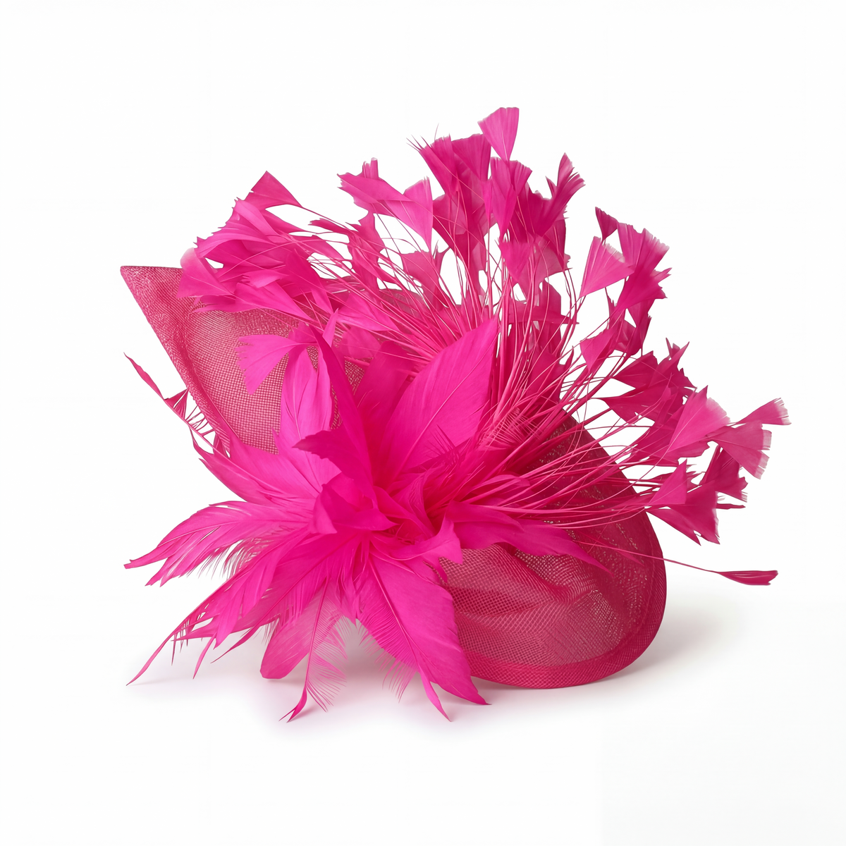Chapeau Bibi Plumes Femme
