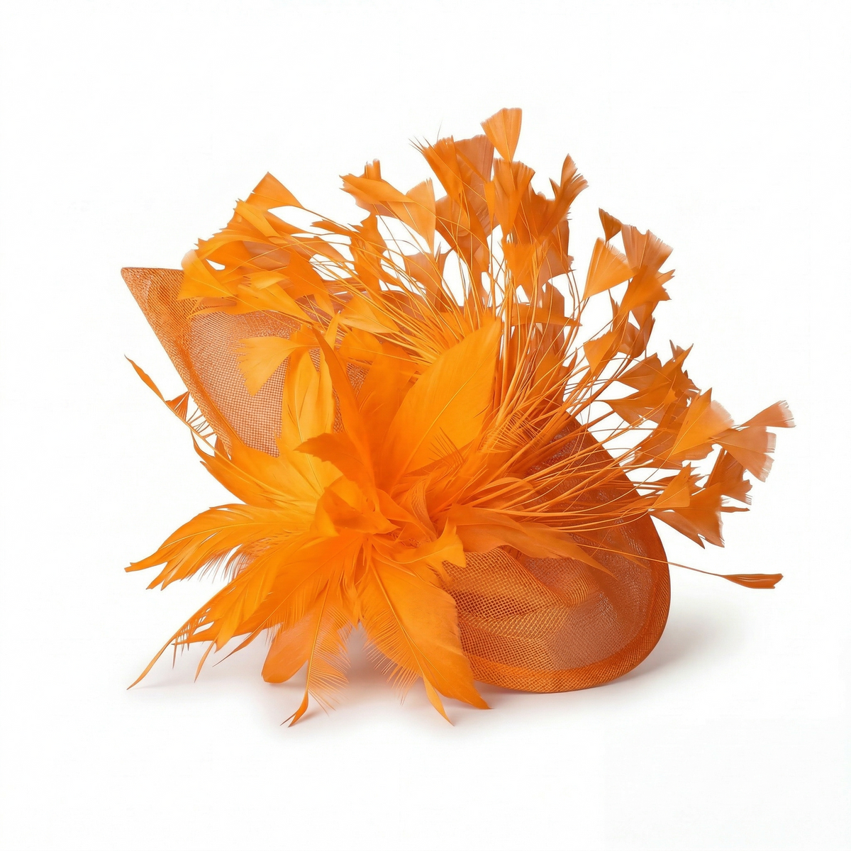 Chapeau Bibi Plumes Femme