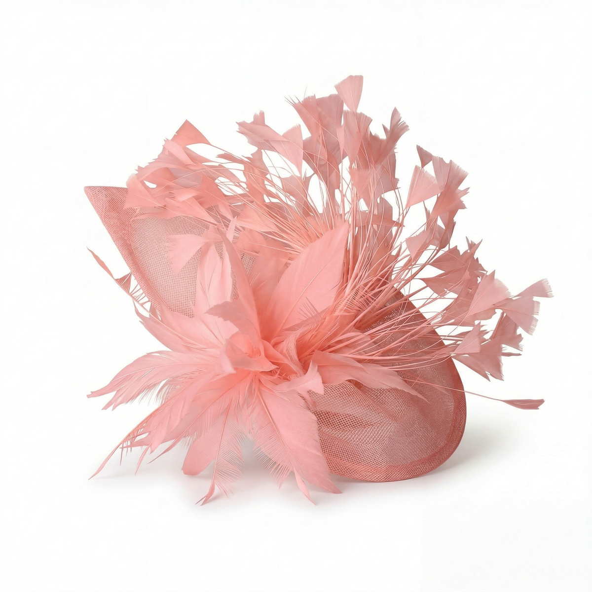 Chapeau Bibi Plumes Femme