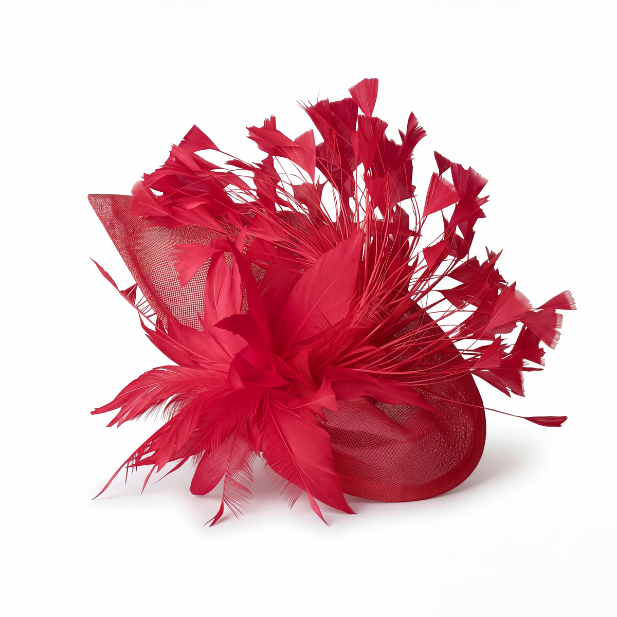 Chapeau Bibi Plumes Femme