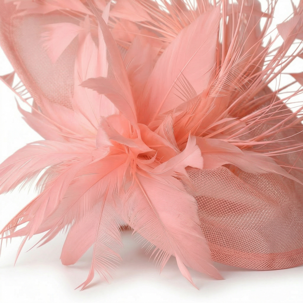 Chapeau Bibi Plumes Femme