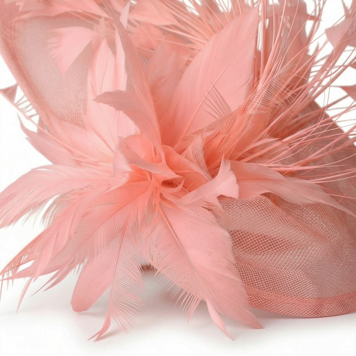 Chapeau Bibi Plumes Femme