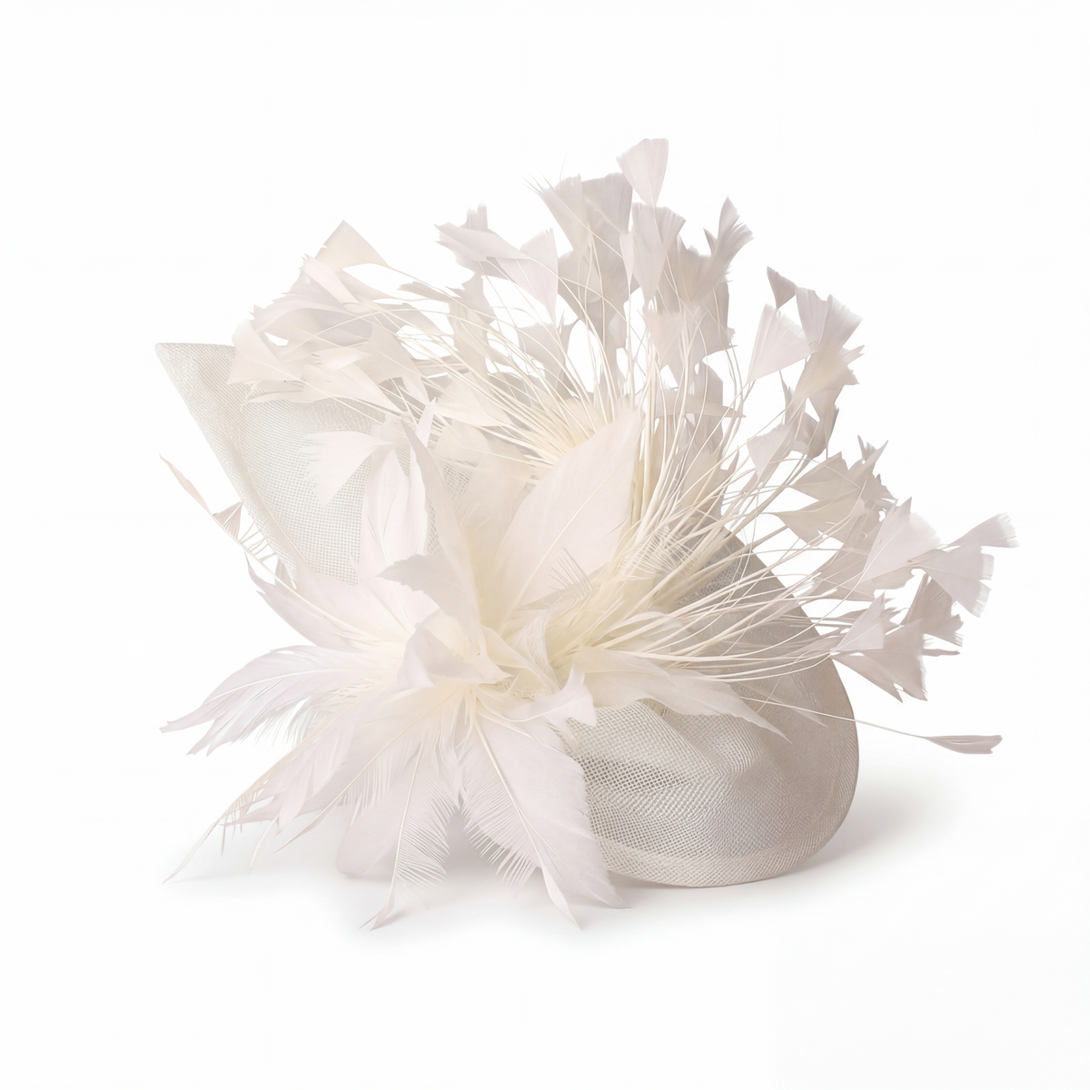 Chapeau Bibi Plumes Femme