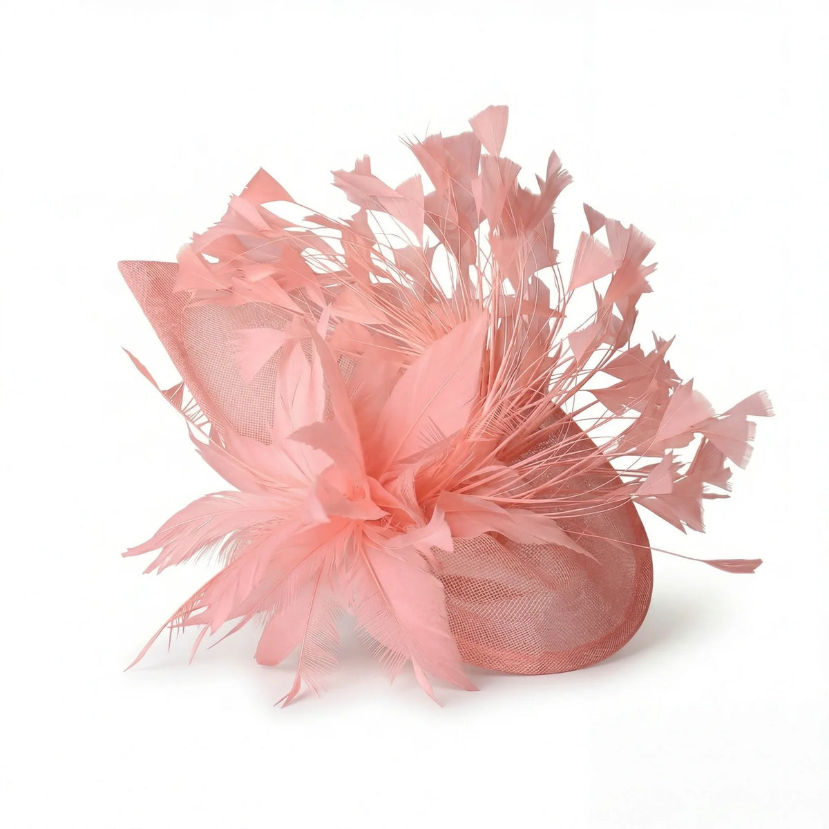 Chapeau Bibi Plumes Femme — coloris rose