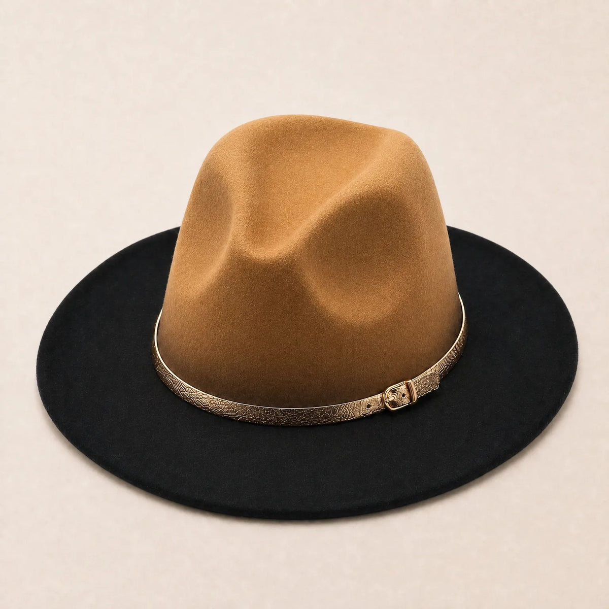 Chapeau Fedora Couleur dégradée, de dos