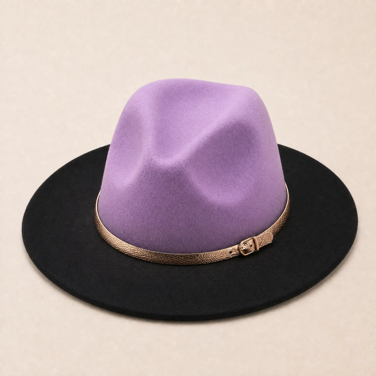 Chapeau Fedora Couleur dégradée — coloris violet