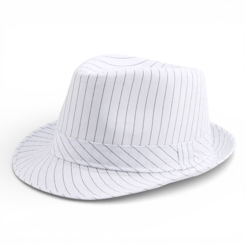 Chapeau Fedora Raye